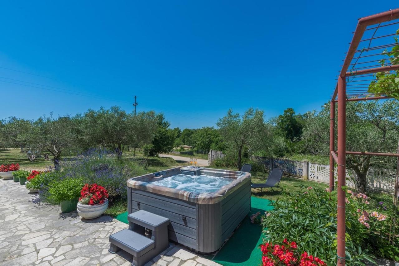 Ferienhaus Zora With Whirlpool Sveti Lovreč Pazenatički 外观 照片