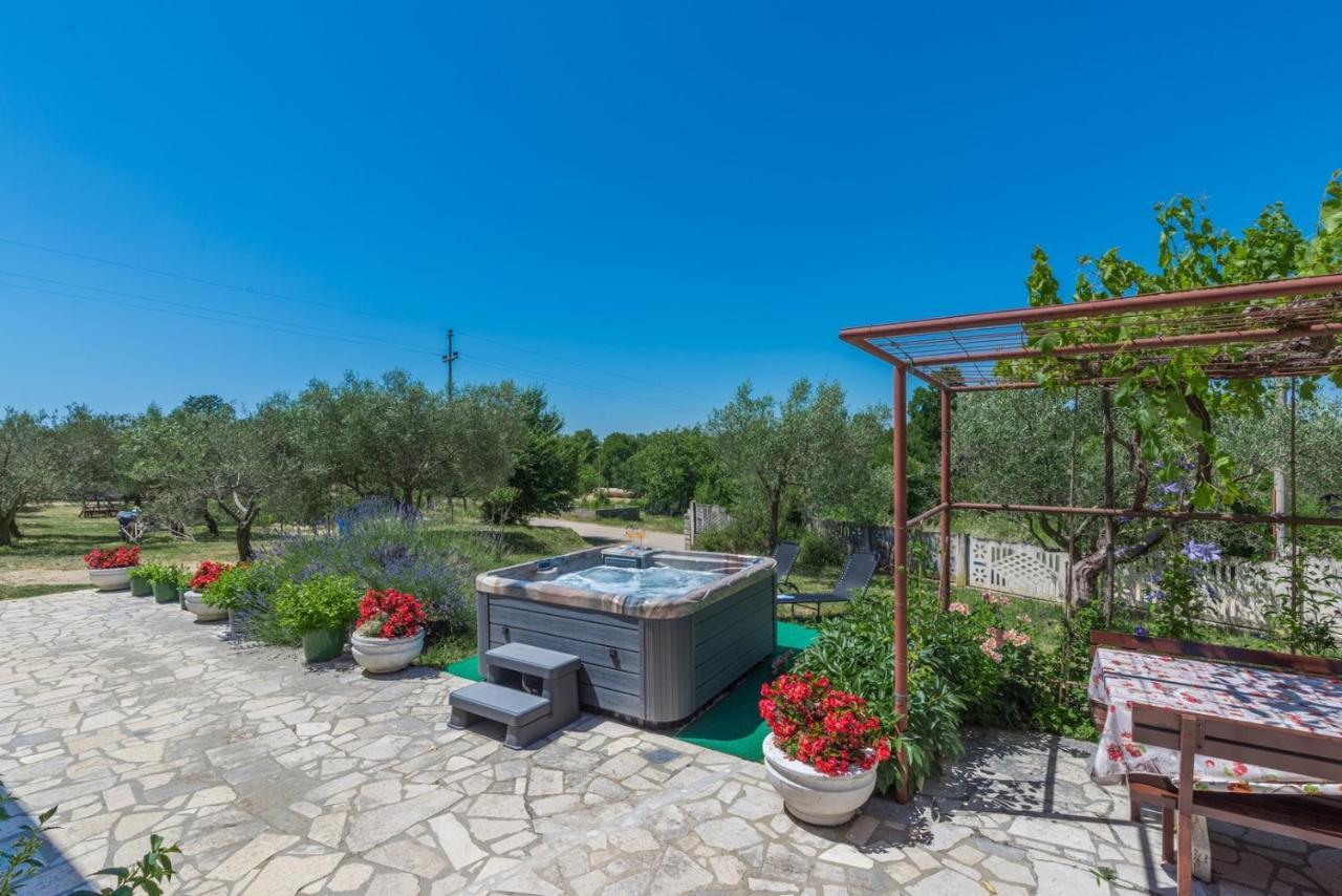 Ferienhaus Zora With Whirlpool Sveti Lovreč Pazenatički 外观 照片